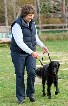 Debby at Tokyo Flying Dogs workshop